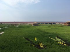 -红海滩国家风景廊道