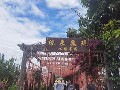 -大理洱海