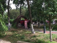 -莲花池公园