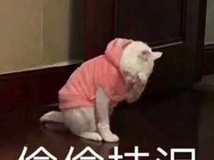 -黄记煌三汁焖锅(新世纪广场店)