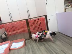 -猪盟咖啡店(玖洲道店)
