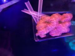 -贰麻酒馆(1912店)