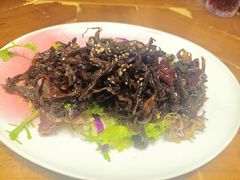 -雀舞云南菜(天津天河城购物中心店)