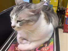 -谜盒子奇幻密室(南屏店)