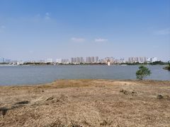 -九龙湖公园