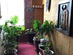 iphone_upload_pic-光明盲人按摩中心