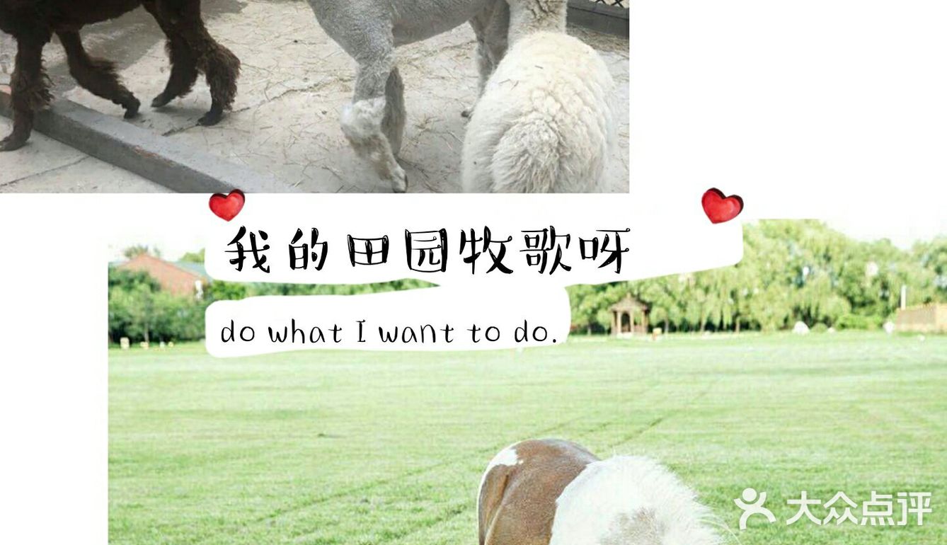 室外公园  孩子们在家呆的时间太长，快出来拥抱大自