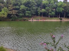 -象山森林公园