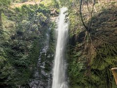 -莫里热带雨林景区