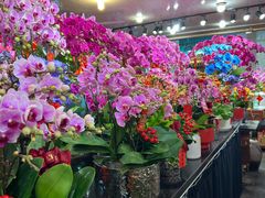 -双季花艺园艺市场(浦东店)