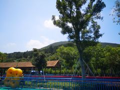 -苏州乐园森林水世界