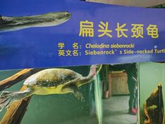 -广州长隆飞鸟乐园