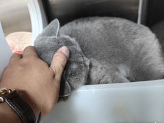 -美联众合动物医院·24h京西诊疗中心