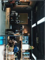 -周忆刺青原创设计定制