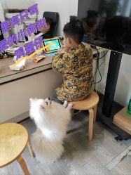 -后宫·古装汉服京剧儿童亲子全家福摄影