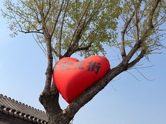 -BE YOLO必有乐&小红帽三明治
