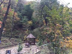 -天女山森林公园