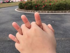 -深圳湾公园(南山区)