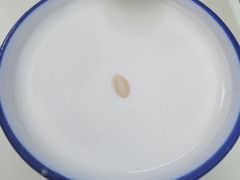 -奶酪魏(牛街总店)