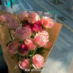 -HEYAN荷妍专业脱毛连锁机构
