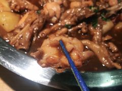 牛蛙煲-谢蟹浓·肉蟹煲(新奥店)