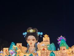 -淄博花灯齐彩城
