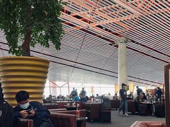 -首都机场t3-c国航两舱休息室