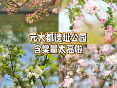 -海棠花溪(元大都城垣遗址公园)