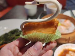 -粤凤佬
