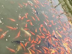 -石家庄市植物园