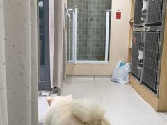 -谐和贝康宠物医院24小时·宠保定点(急重症转诊中心)