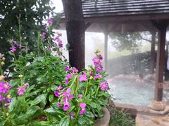 -天目湖涵田半山温泉