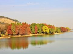 -长广溪湿地公园