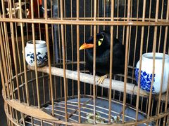 -到家尝北京菜(西坝河店)