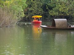 -吴淞炮台湾湿地森林公园烧烤区