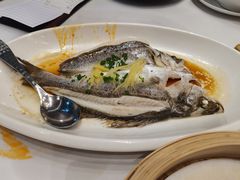 -京粤荟(海王银河科技大厦店)