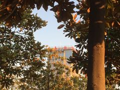 -南京航空航天大学(将军路校区)