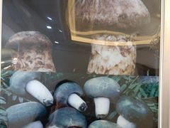 -野菌园·野生菌火锅首创第一家(关兴路总店)