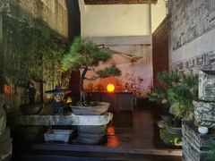 -觀芷隐轩