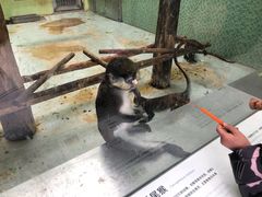 -太原动物园