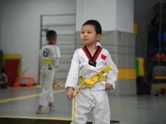 -正道拳击·跆拳道馆(青少年活动中心)