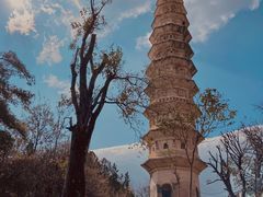 -崇圣寺三塔文化旅游区