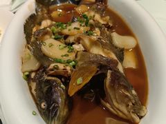 -青雅中餐厅(大连金石滩绿发希尔顿度假酒店)