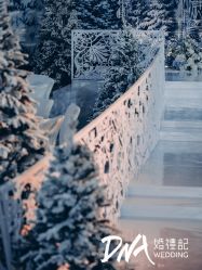 -DNA Wedding 婚礼记(上海店)
