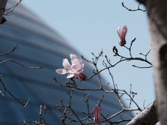 -国家大剧院