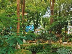 -成都市活水公园