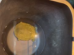 -烹湘·鲜炒湖南土菜(海珠店)