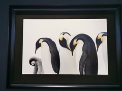 -罗红摄影艺术馆