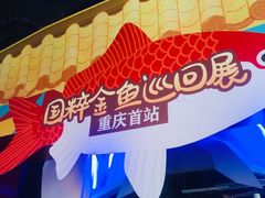 -重庆欢乐海底世界