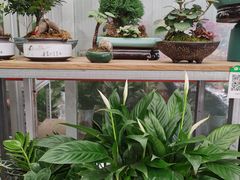 -金科花卉市场